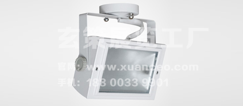 吸頂式金鹵燈 吸頂式金鹵燈