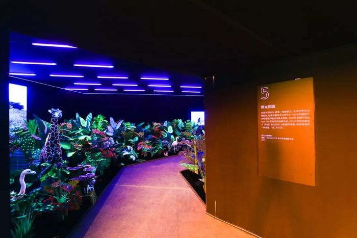 華為手機影像藝術(shù)展活動攝影走廊 華為手機影像藝術(shù)展活動攝影走廊